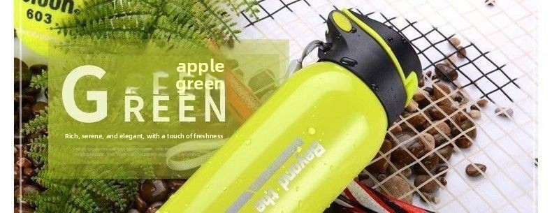Insulated Water Bottle