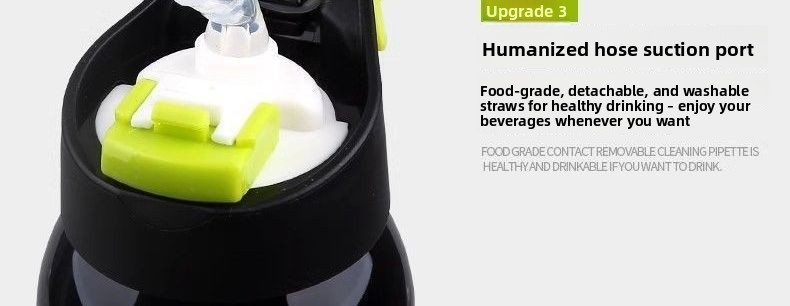 Insulated Water Bottle