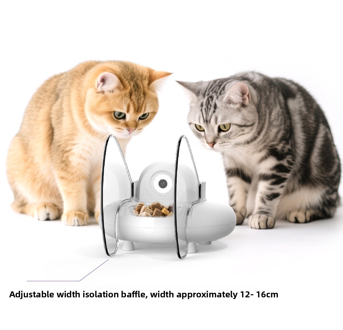 Automatic Pet Feeder