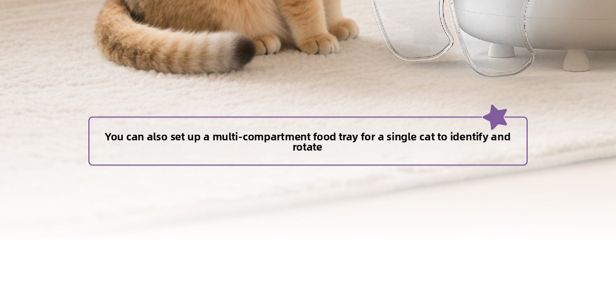 Automatic Pet Feeder
