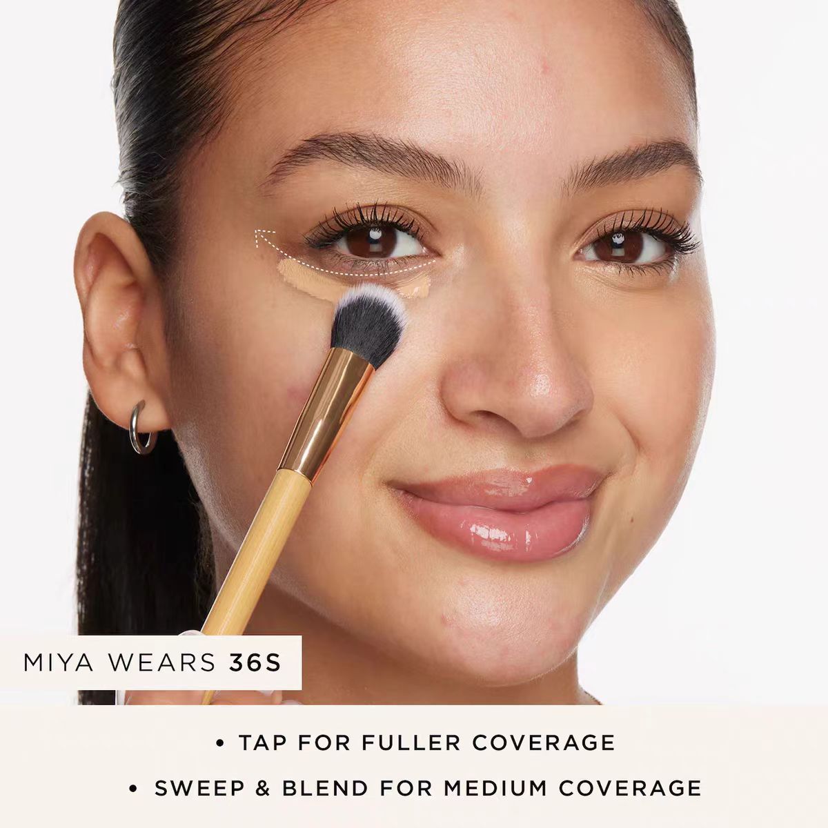 Blotting sponge brush