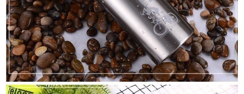 Insulated Water Bottle