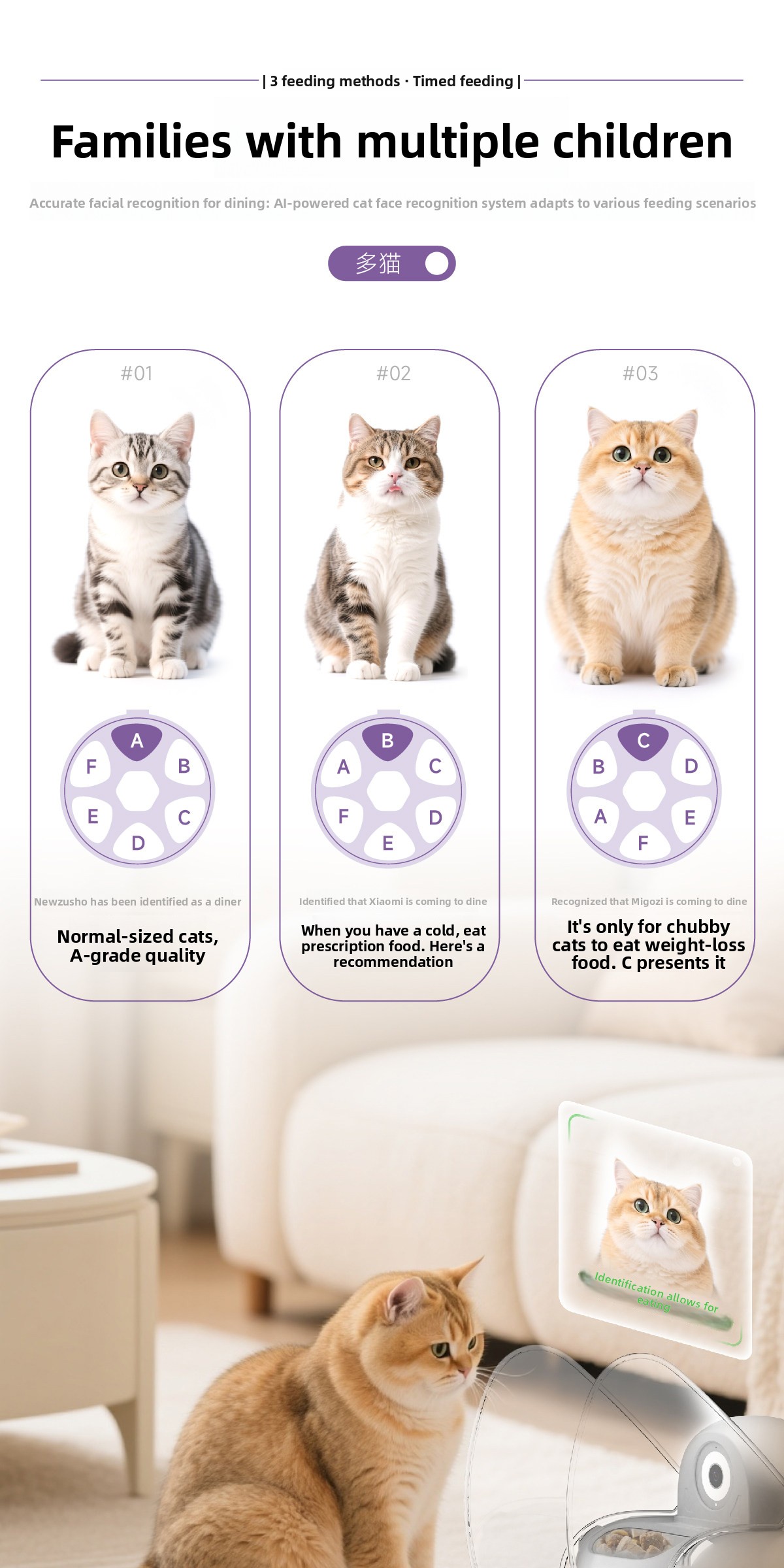 Automatic Pet Feeder