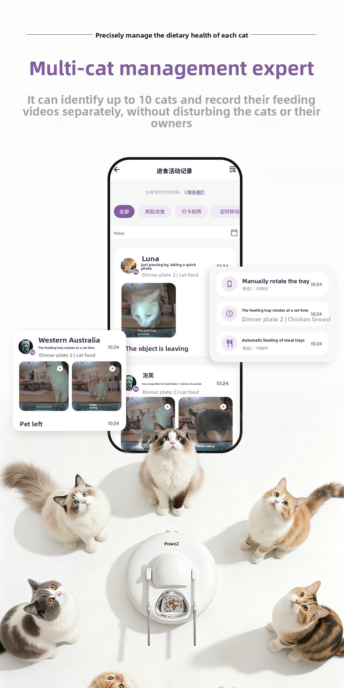 Automatic Pet Feeder