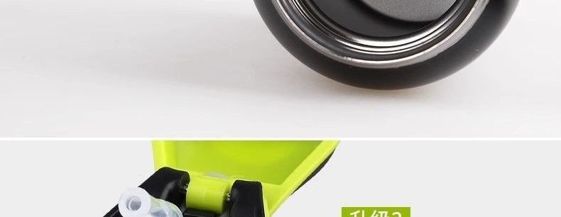 Insulated Water Bottle