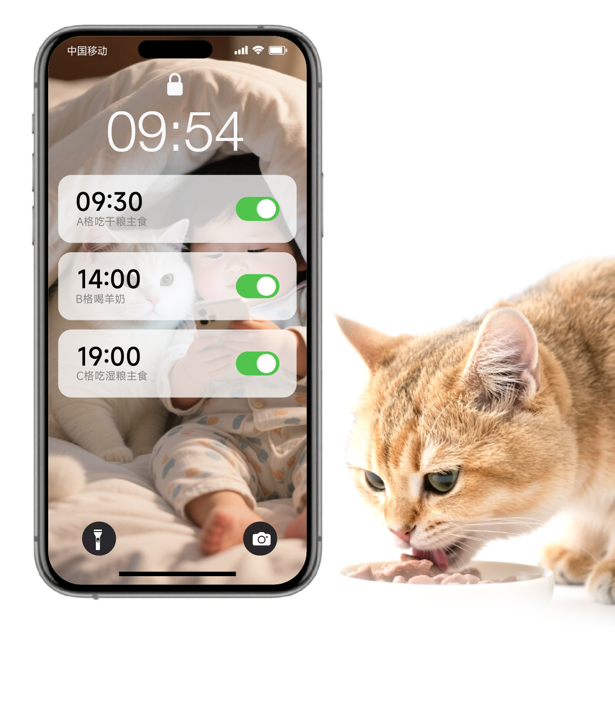 Automatic Pet Feeder