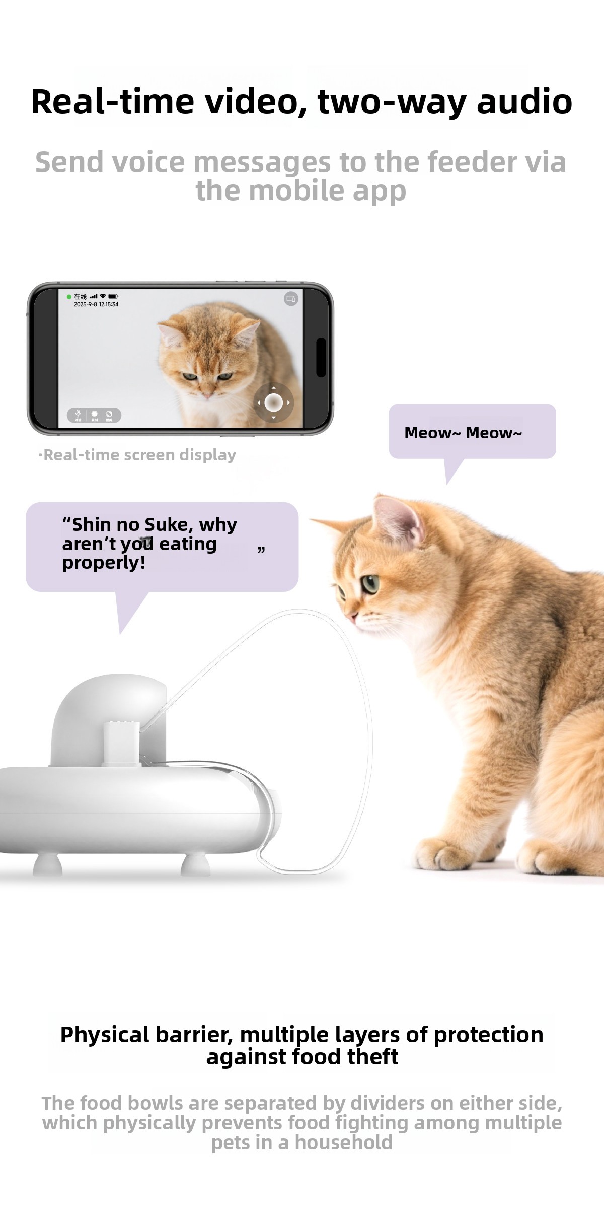 Automatic Pet Feeder
