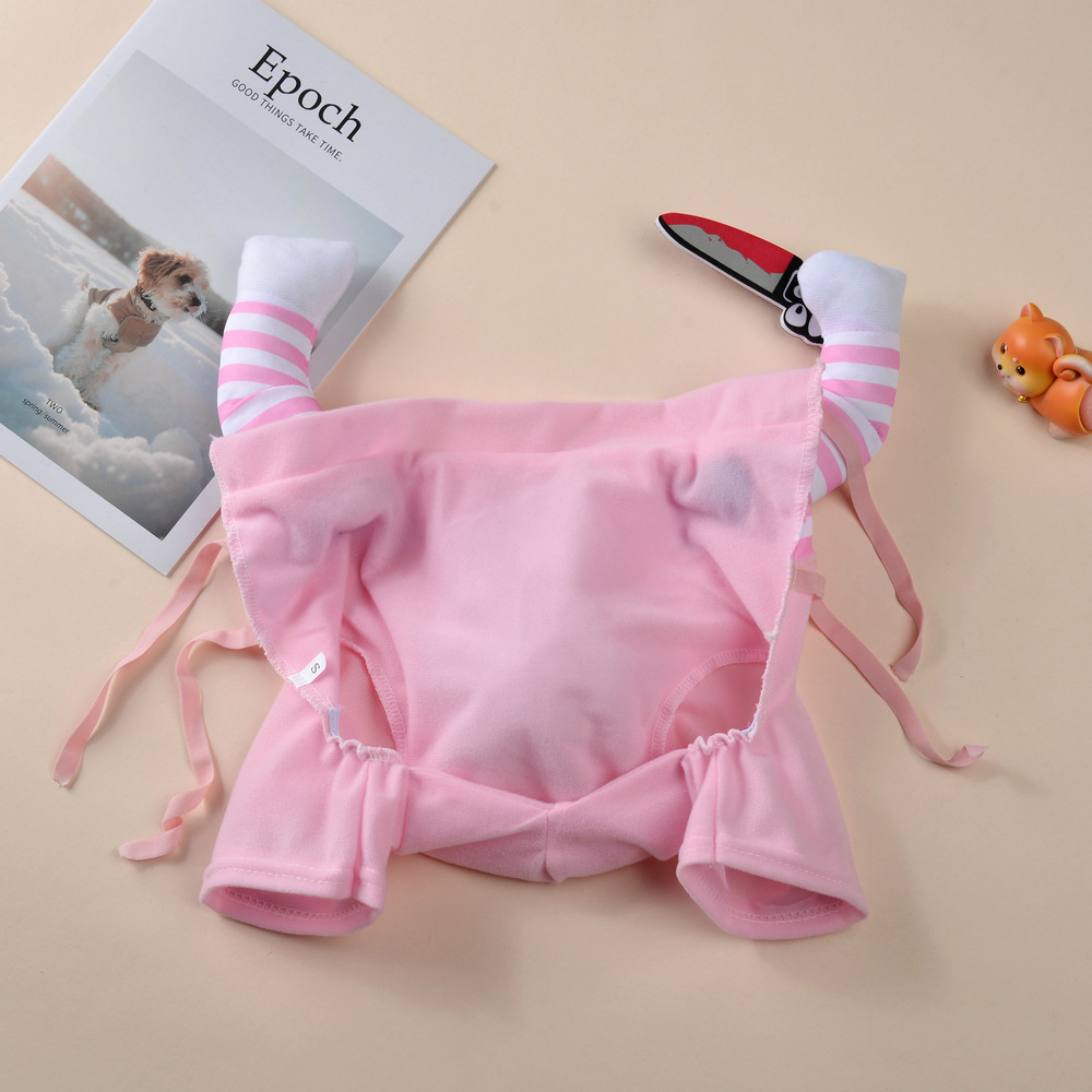 Halloween Pet Costume