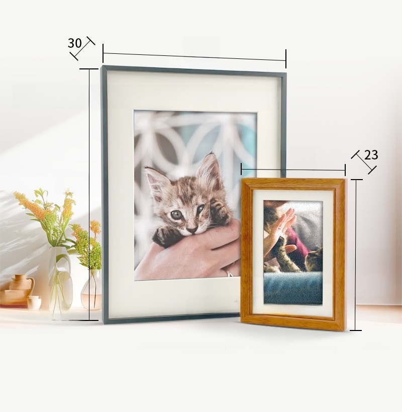 E-Ink Digital Photo Frame Display