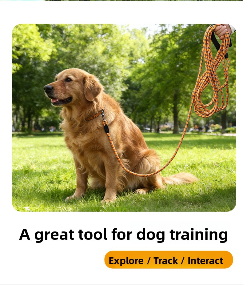 Reflective Nylon Dog Leash, 1.5–30 m — QIUOLA | qiuola.com