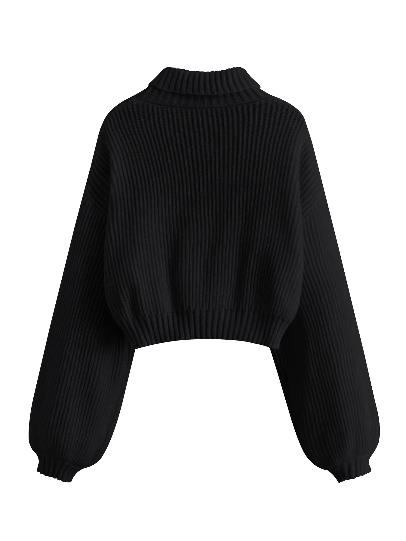 Embroidered Turtleneck Pullover Sweater