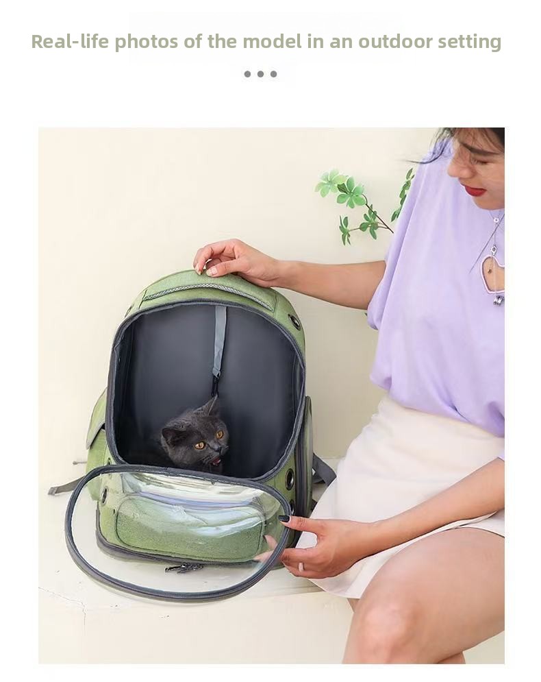 Transparent Pet Carrier Backpack