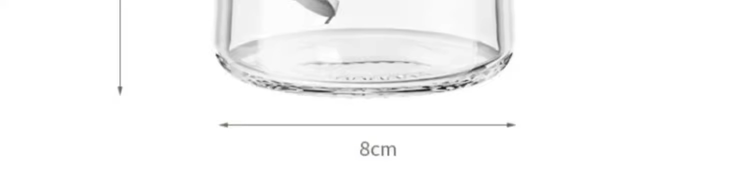 Spray and pour dual-purpose spray tank leak-proof oil tank glass spray oil bottle