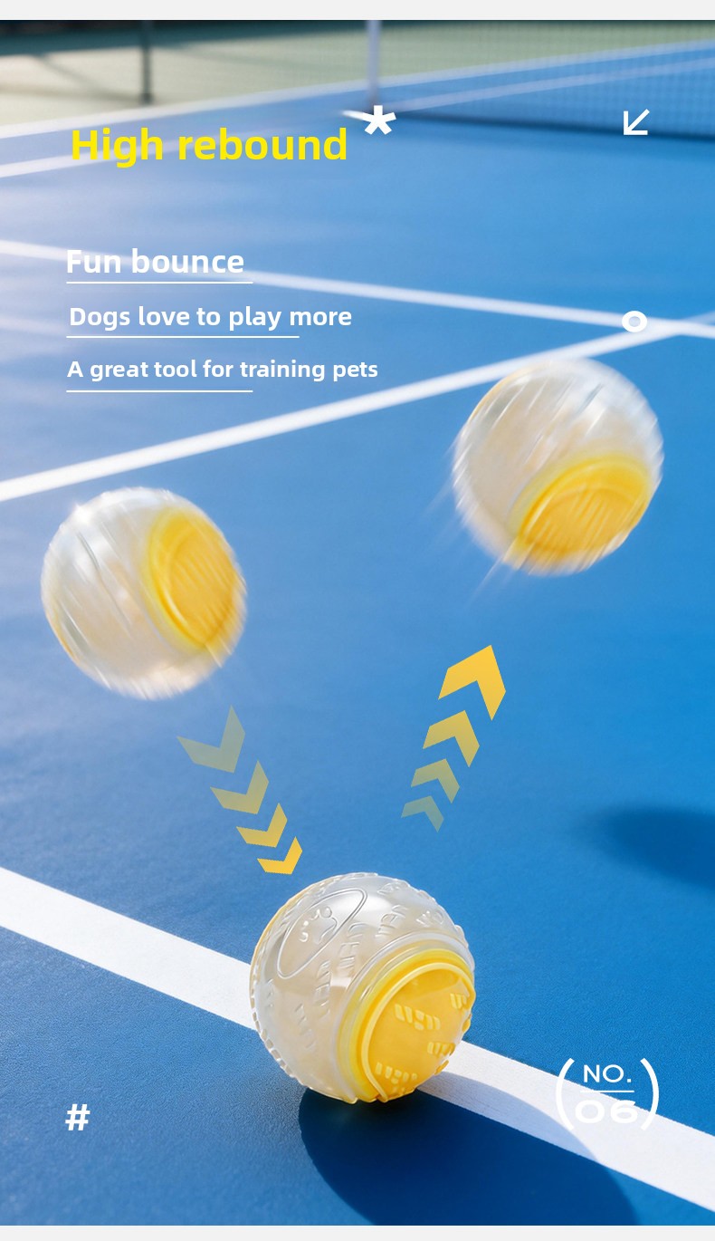 Dog Toy Luminous Sound Rubber Ball Interactive Tour Toy