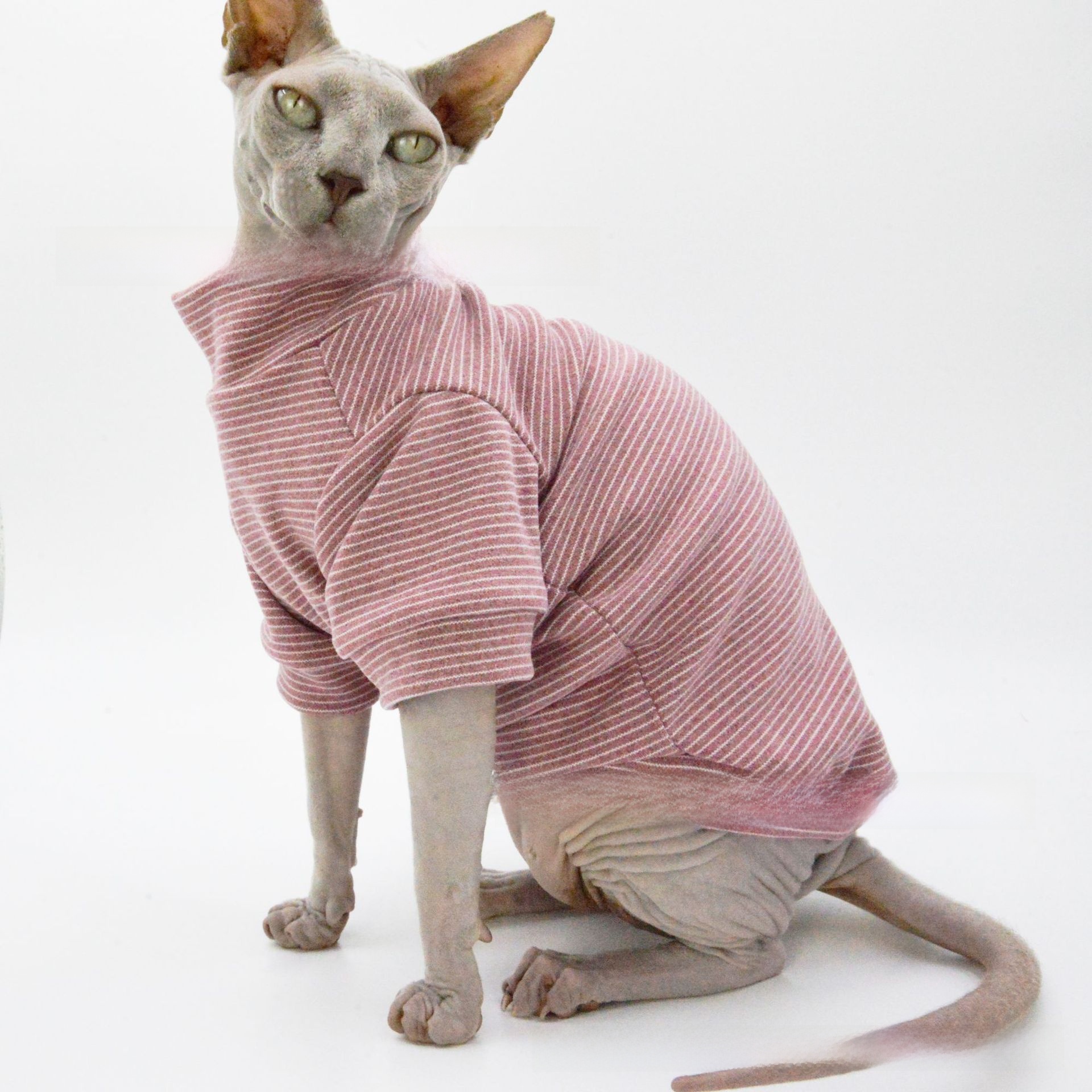 Pet Clothing