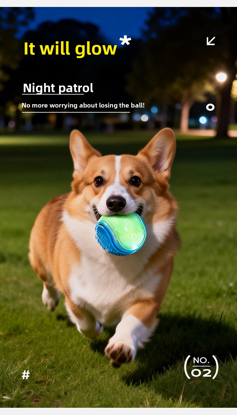 Dog Toy Luminous Sound Rubber Ball Interactive Tour Toy