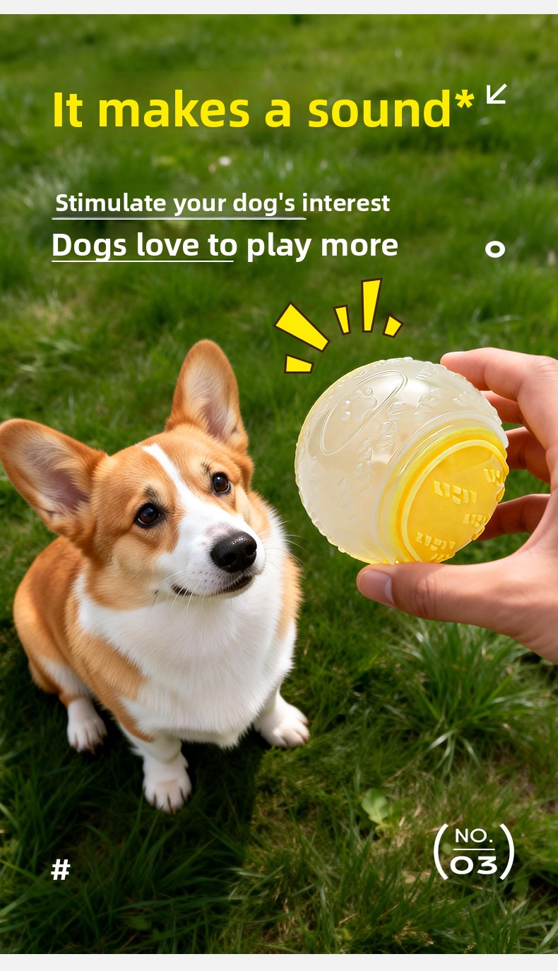 Dog Toy Luminous Sound Rubber Ball Interactive Tour Toy
