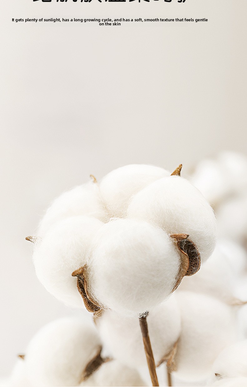Pure Cotton Breathable Towel Blanket