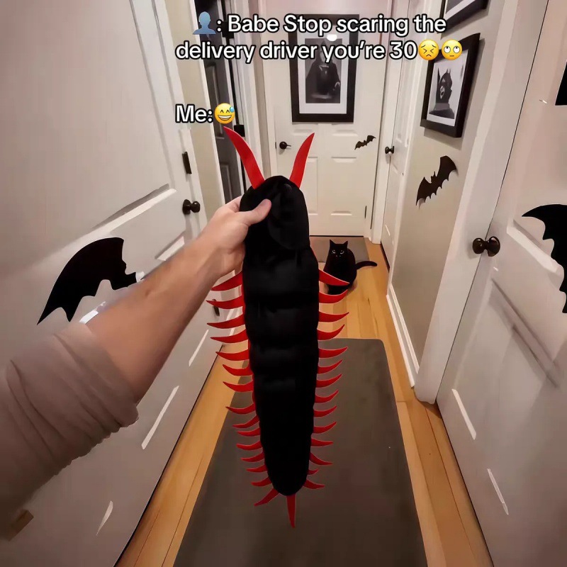 Disfraz de ciempiés para gatos de 90 cm: imagen adicional