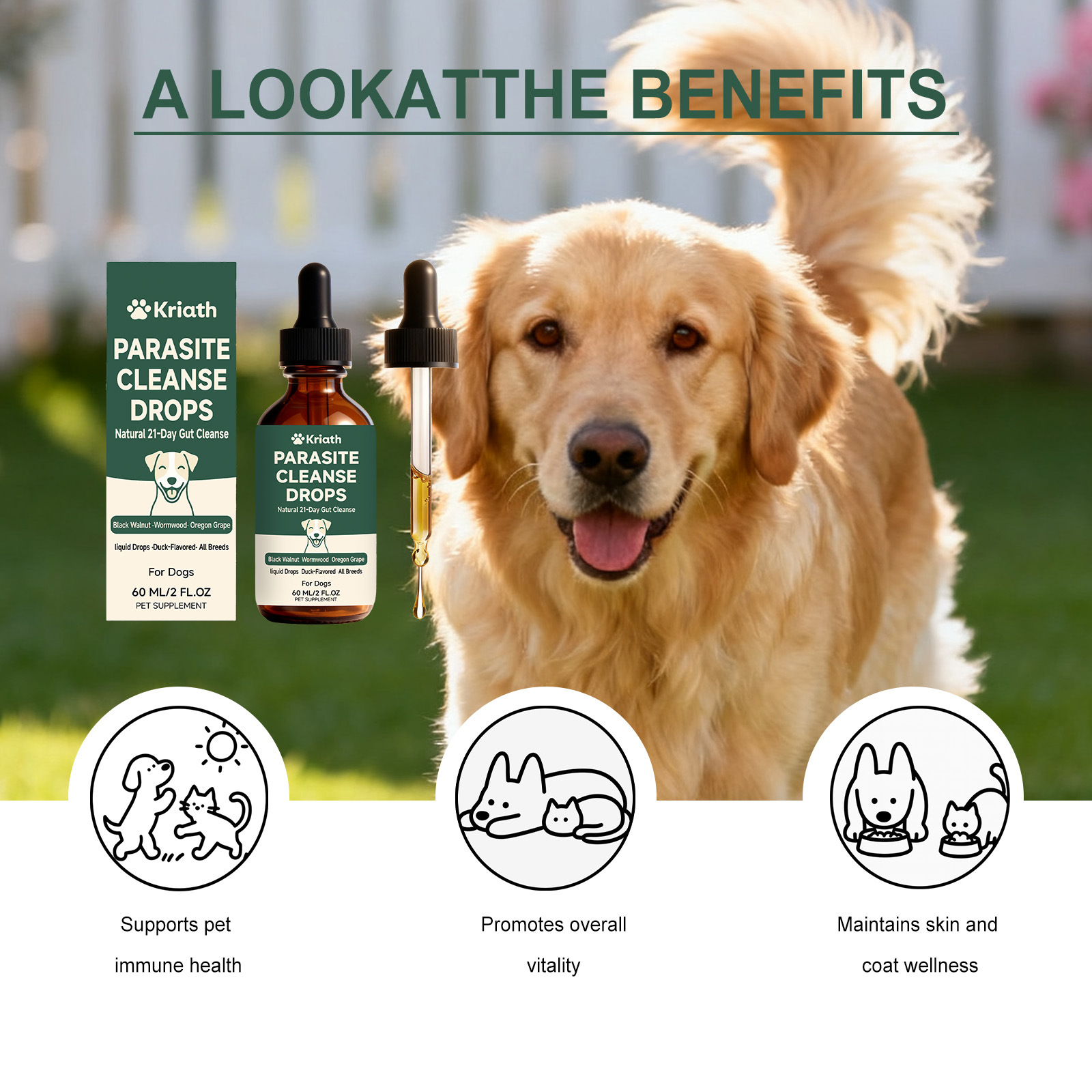 Dog intestinal essential oil drops