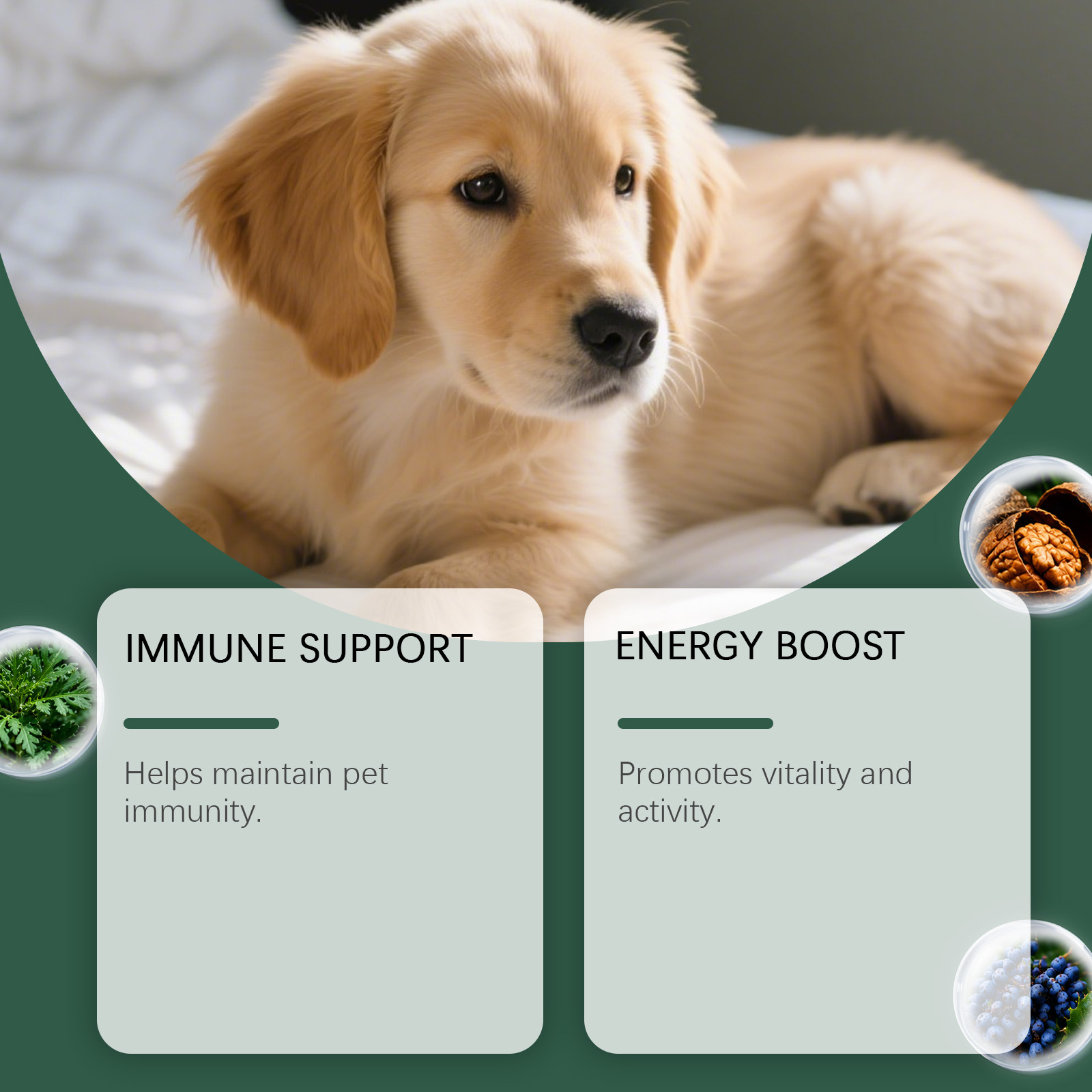Dog intestinal essential oil drops