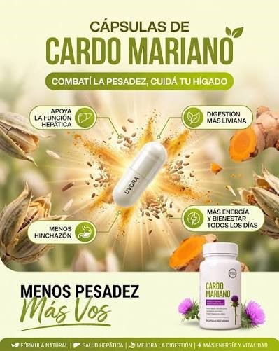 Milk Thistle Capsules Dietary Supplement