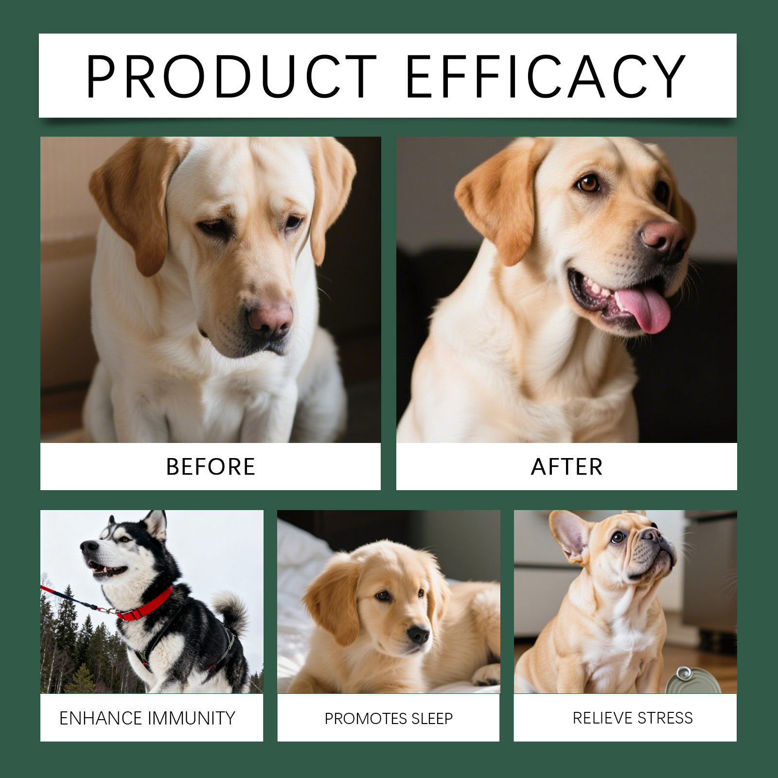 Dog intestinal essential oil drops