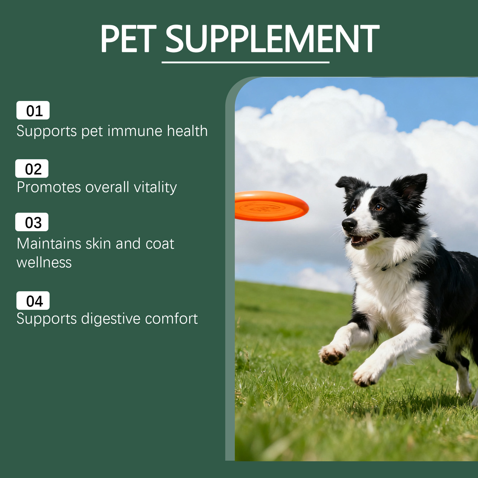 Dog intestinal essential oil drops