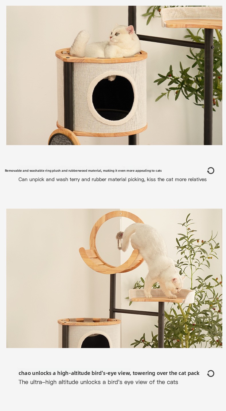 Solid Wood Multi Cat Climbing Frame with Scratching Post
