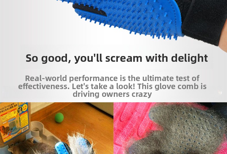 ?????????