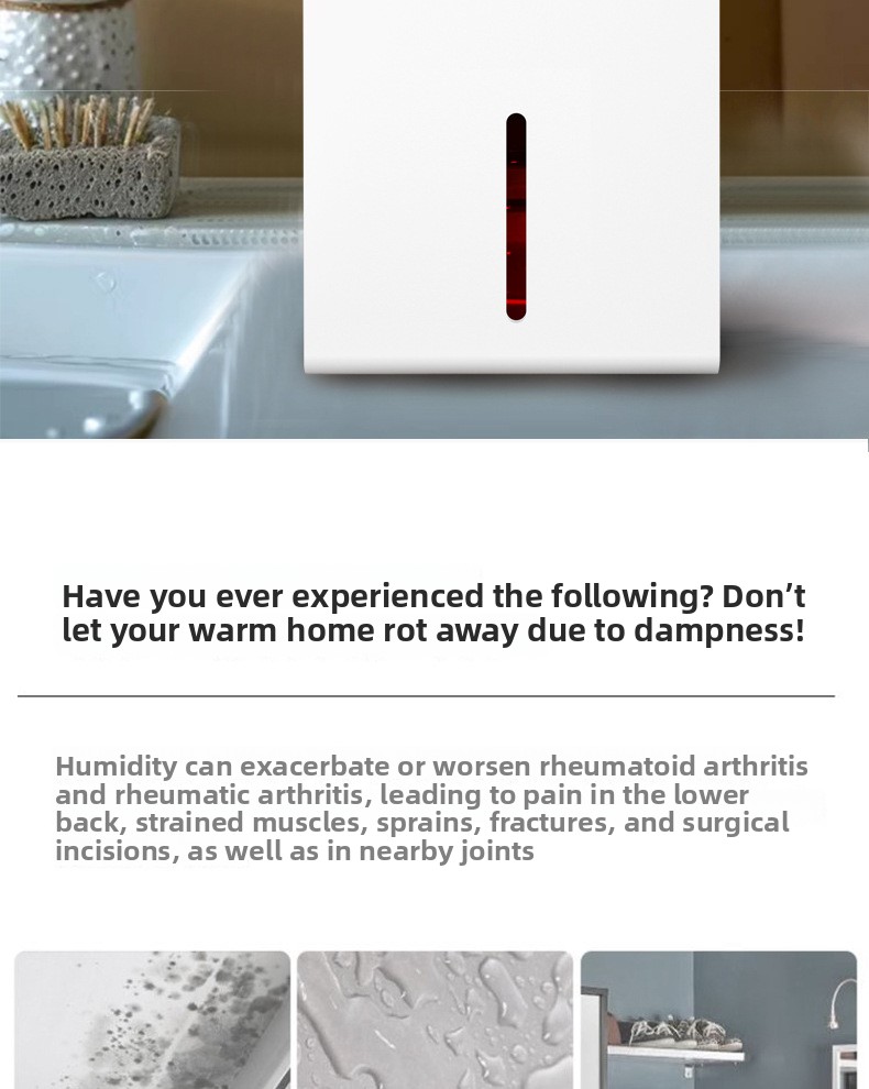 Compact Semiconductor Dehumidifier with Remote Control and Large Tank