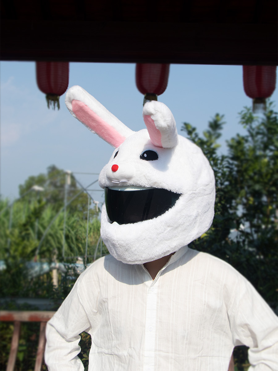 Plush Helmet Cover