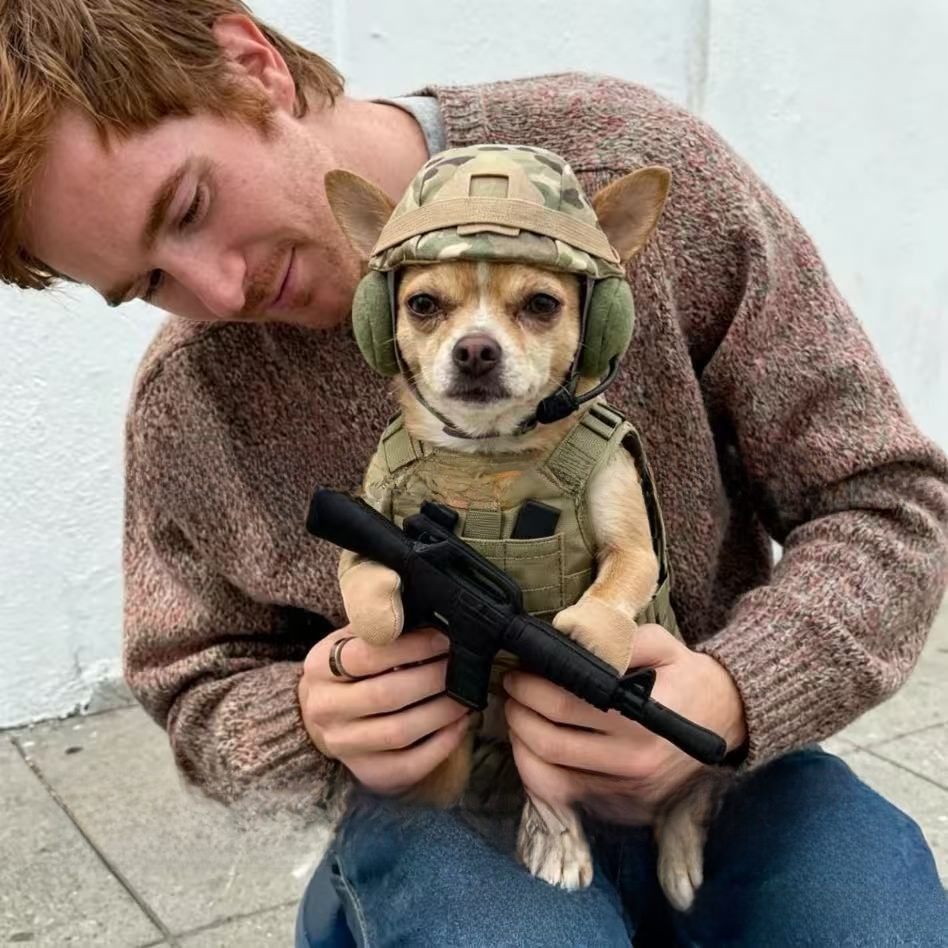 Cartoon Military Style Pet Dog Costume Suit