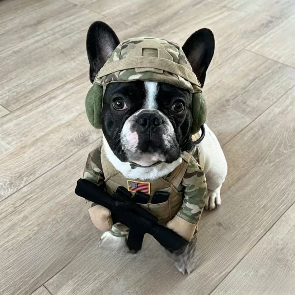 Cartoon Military Style Pet Dog Costume Suit