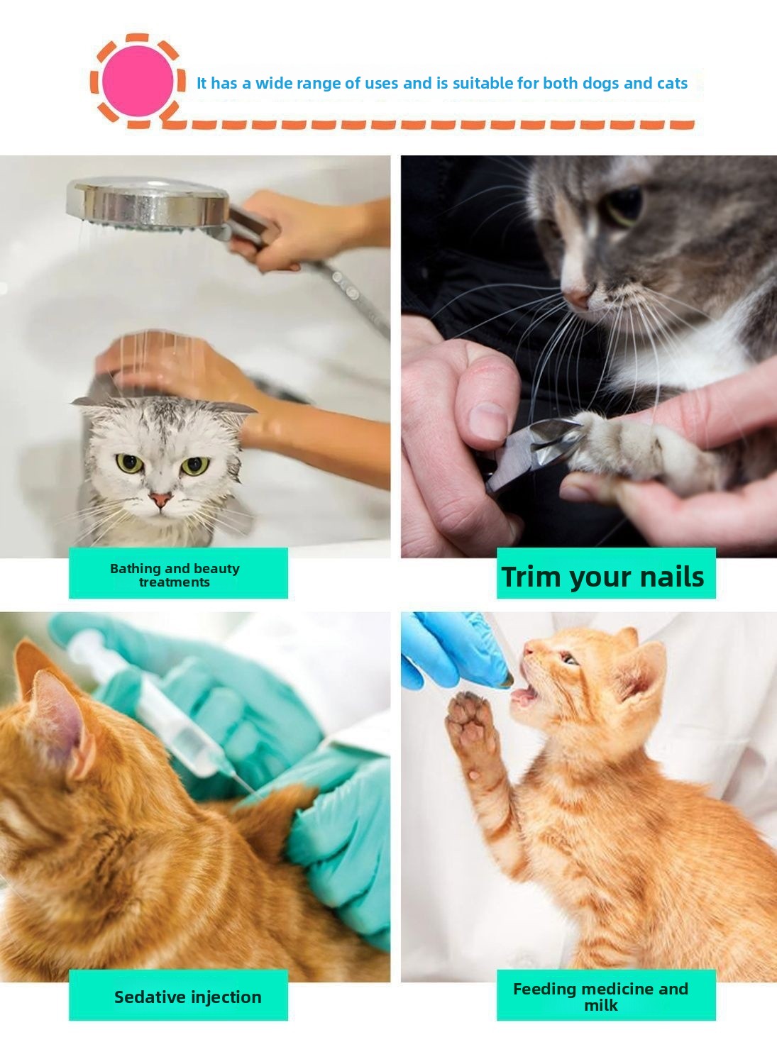 Detachable Pet Grooming Restraint Frame
