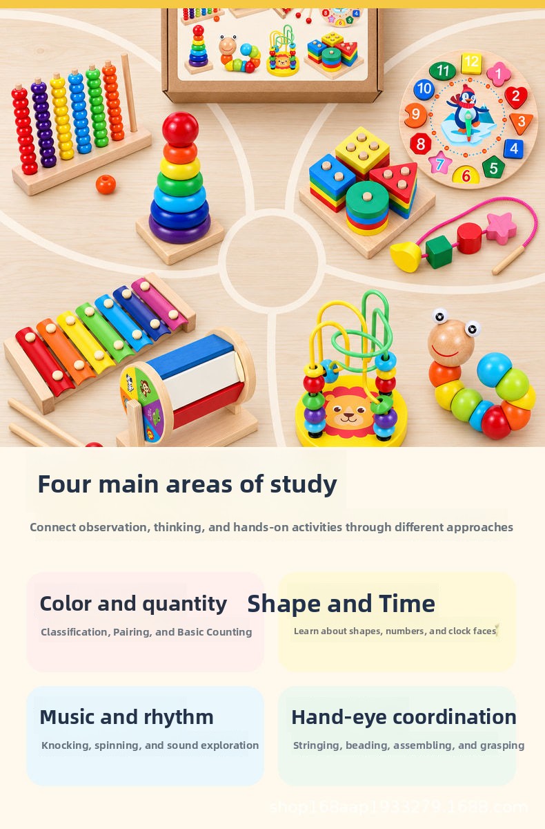 Educational Toy