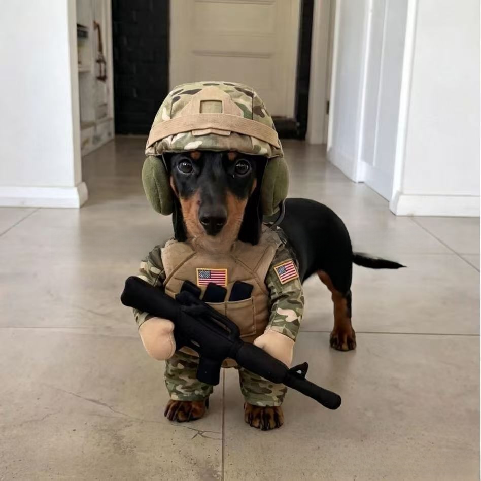Cartoon Military Style Pet Dog Costume Suit