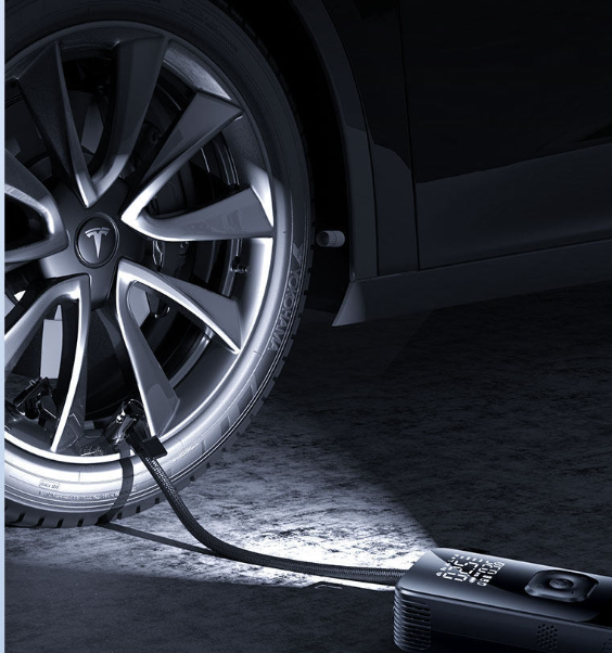 Portable air pump