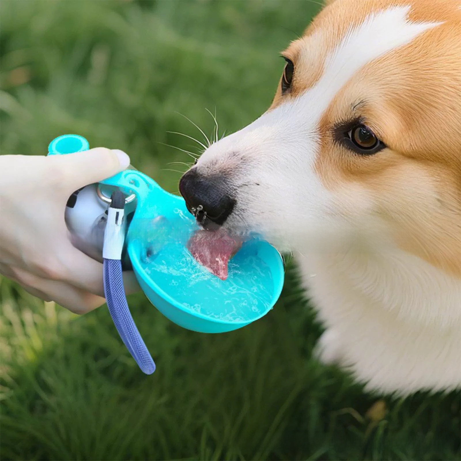 Portable Foldable Pet Water Dispenser Bottle