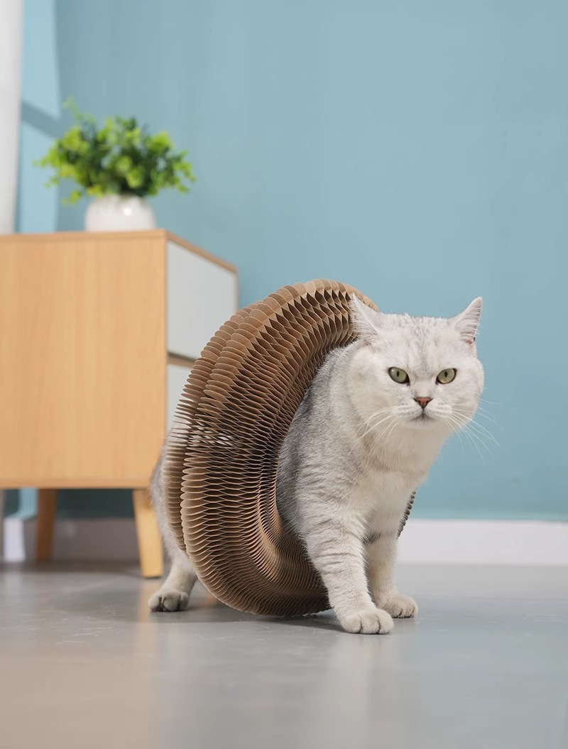 Rascador acordeón para gatos de cartón: imagen adicional