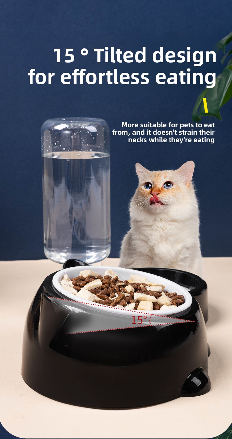 Cat and dog oblique mouth  bowl