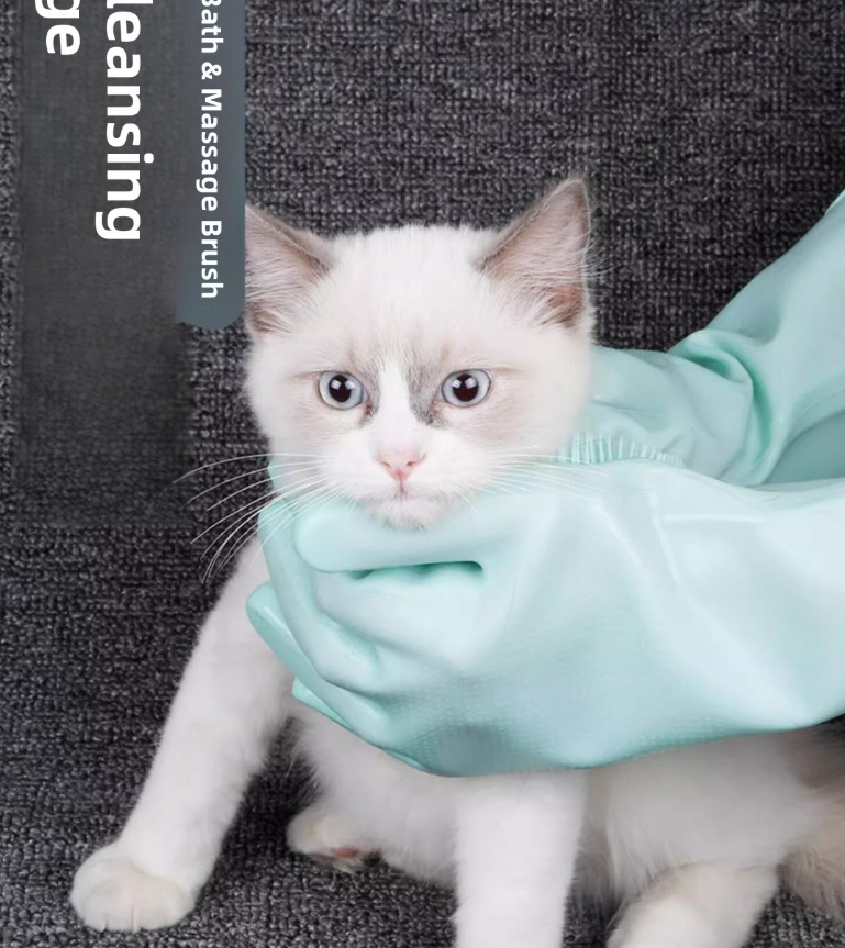 Silicone Gloves