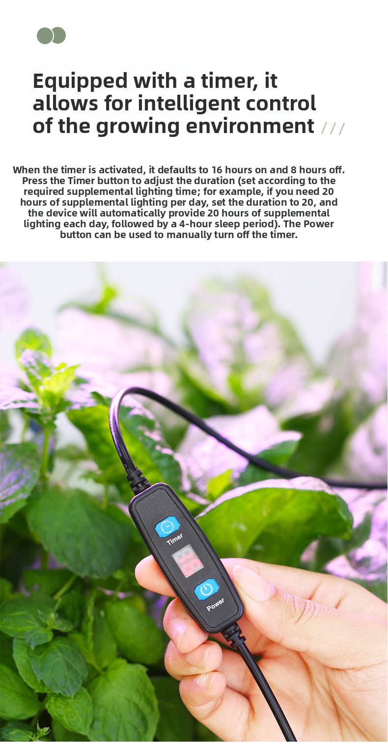 LED Specialized Greenhouse for Succulent Plants and Flowers for Indoor Use