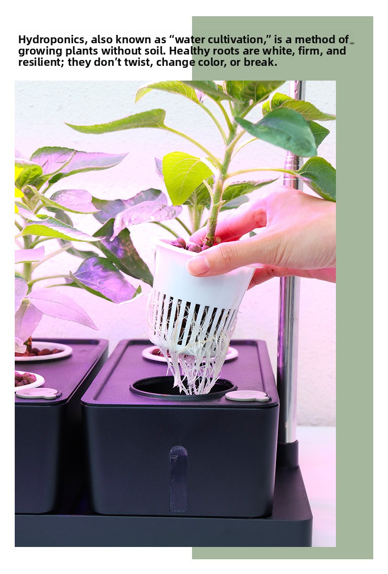LED Specialized Greenhouse for Succulent Plants and Flowers for Indoor Use