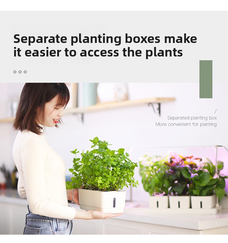 LED Specialized Greenhouse for Succulent Plants and Flowers for Indoor Use