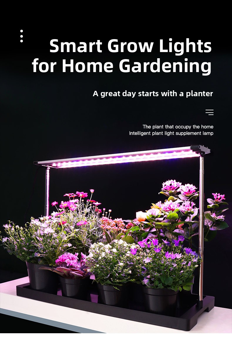 LED Specialized Greenhouse for Succulent Plants and Flowers for Indoor Use