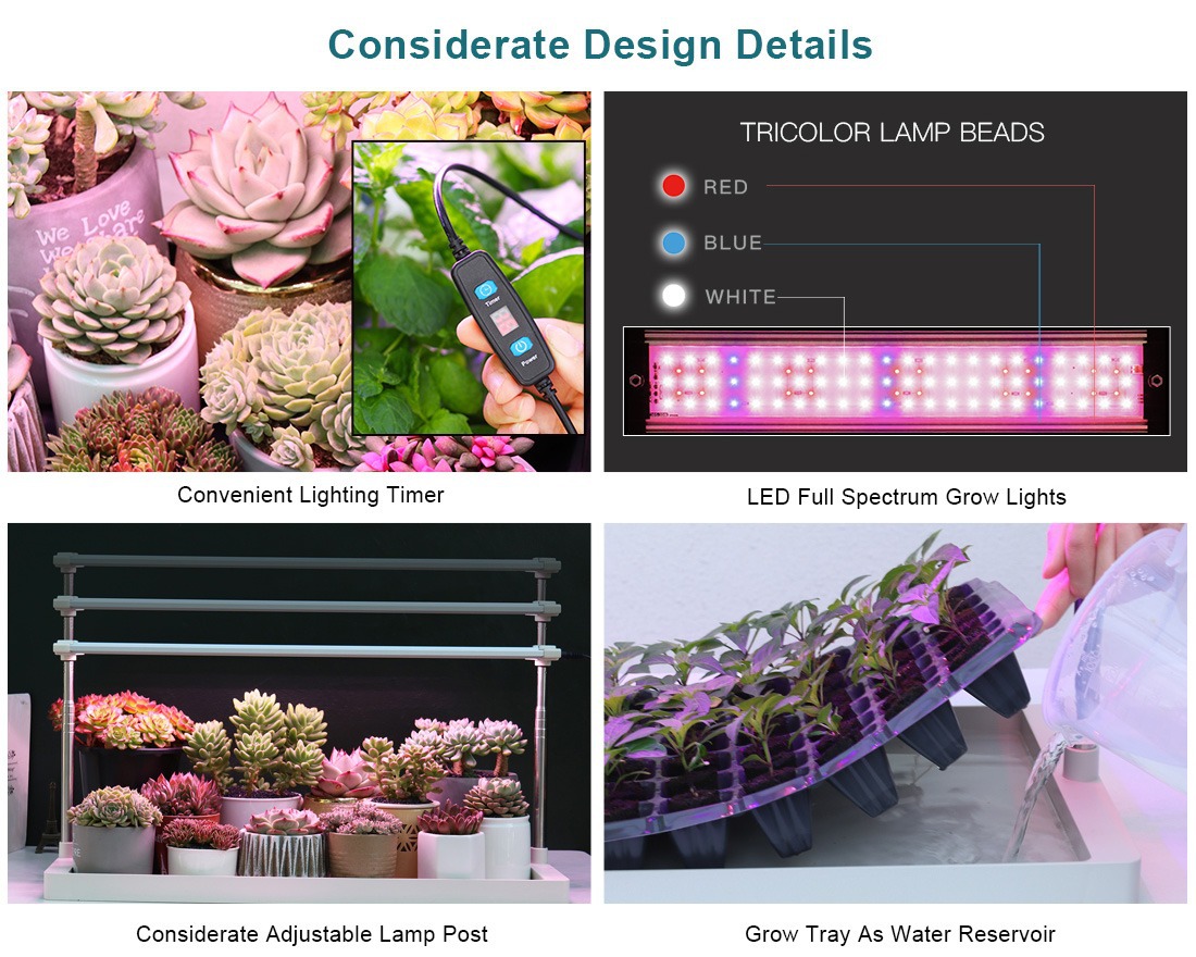 LED Specialized Greenhouse for Succulent Plants and Flowers for Indoor Use