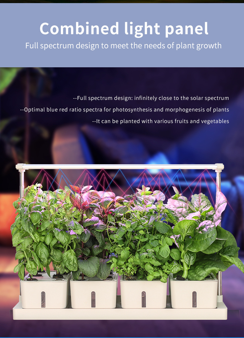 LED Specialized Greenhouse for Succulent Plants and Flowers for Indoor Use