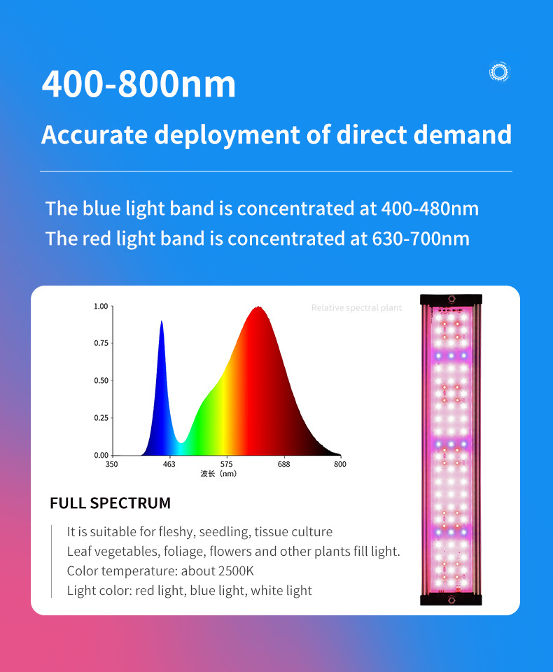 LED Specialized Greenhouse for Succulent Plants and Flowers for Indoor Use