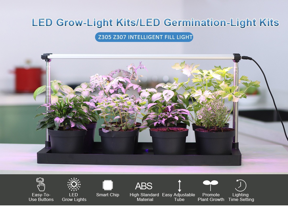 LED Specialized Greenhouse for Succulent Plants and Flowers for Indoor Use